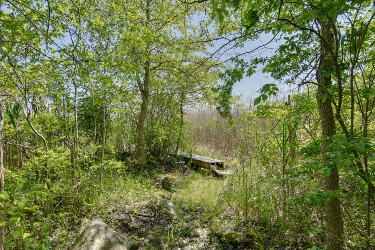 Mattapoisett Home On 7 Acres With Private Beach! Exterior photo